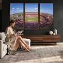 William Brice Stadium Wall Art Canvas Print – Stadium Crowd