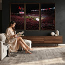 William Brice Stadium Wall Art Print – Baseball Game Room