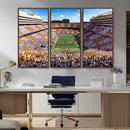Tennessee Neyland Stadium Wall Art, Sports Arena Canvas by MyGreatCanvas | Canvas Wall Art Prints | Photo Prints & Wall Decor
