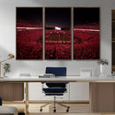 Dooley Stadium Wall Art, Sports Arena Canvas Print, Dooley by MyGreatCanvas | Canvas Wall Art Prints | Photo Prints & Wall Decor