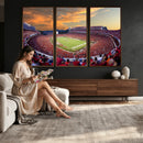 Dooley Stadium Wall Art, Sports Arena Canvas Print, Dooley