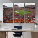 Jordan-Hare Stadium Wall Art Canvas Print, College Sports by MyGreatCanvas | Canvas Wall Art Prints | Photo Prints & Wall Decor