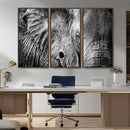 Wild Old Elephant Wall Art Canvas Print