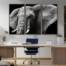 Big Elephant Close Up Wall Art Canvas Print