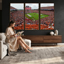Auburn Stadium Wall Art Canvas Print, Jordan Hare Stadium