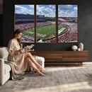 Georgia Bulldogs Stadium Wall Art Canvas Print, Sanford