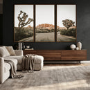 Joshua Tree Desert Wall Art Canvas Print, Minimal by MyGreatCanvas | Canvas Wall Art Prints | Photo Prints & Wall Decor