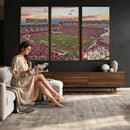 Donald W. Reynolds Razorback Stadium Wall Art Canvas Print –