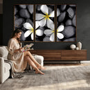 Plumeria Frangipani Black Stone Canvas | White Flower Spa by MyGreatCanvas | Canvas Wall Art Prints | Photo Prints & Wall Decor