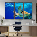Sea Turtle Wall Art Canvas Print, Sea life in the Ocean Wall