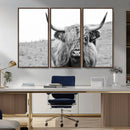 Newfoundland Cow Art Wall Art, Black White Cow Art Wall Art