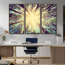 Tree and Sunshine Canvas Print