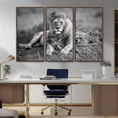 King Forest Lion Wall Art Canvas Print – Framed Majestic by MyGreatCanvas | Canvas Wall Art Prints | Photo Prints & Wall Decor
