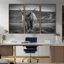 Fluffy Cattle Wall Art Print, Highland Cow Canvas, Framed by MyGreatCanvas | Canvas Wall Art Prints | Photo Prints & Wall Decor