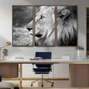 African Lion Wall Art Canvas Print – Majestic Wildlife