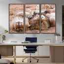 Lion Pair Wall Art Canvas Print – Framed Wildlife Scene with