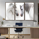White Horse Wall Art Animal Canvas Print by MyGreatCanvas | Canvas Wall Art Prints | Photo Prints & Wall Decor