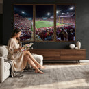 Washington-Grizzly Stadium Canvas Print, American Football