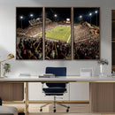 Washington-Grizzly Stadium Canvas Print, American Football