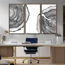 Abstract Large Tree Rings – Minimalist Black and White Wood