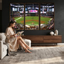 Arizona Diamondbacks Baseball Team Print - Phoenix Chase