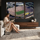 Michigan Wolverines Football Team Print - Ann Arbor Michigan