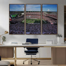 South Carolina Gamecocks Football Team Print - Columbia