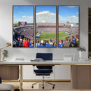 Buffalo Bills NFL Football Team Print - Buffalo Highmark