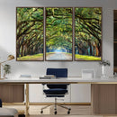 Wormsloe State Plantation Driveway Wall Art Canvas Print by MyGreatCanvas | Canvas Wall Art Prints | Photo Prints & Wall Decor