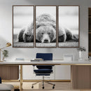 Resting Grizzly Bear Wall Art Canvas Print – Majestic Lazy by MyGreatCanvas | Canvas Wall Art Prints | Photo Prints & Wall Decor