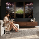 Eagles Field Stadium Wall Art - Philadelphia Eagles Football