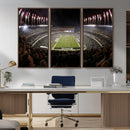 Eagles Field Stadium Wall Art - Philadelphia Eagles Football