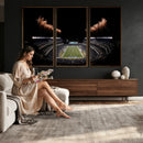 Eagles Field Stadium Wall Art | Philadelphia Eagles Football