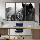 Black Horse in Snow Canvas Print | Winter Horse Wall Art |