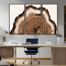 Rustic Wood Rings Wall Art | Nature-Inspired Tree Ring