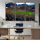 Folsom Field - University of Colorado Buffaloes Football by MyGreatCanvas | Canvas Wall Art Prints | Photo Prints & Wall Decor