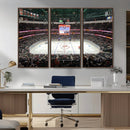 Honda Center California Anaheim Ducks Ice Hockey Stadium