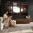 PNC Arena Raleigh North Carolina Hurricanes Hockey Stadium