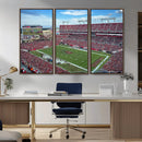 Florida Tampa Raymond James Stadium Wall Art Canvas Print -