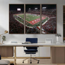 Houston Cougars Football Team Print - Houston TDECU Stadium