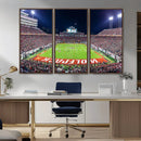 Wolfpack Football Team Print - Raleigh Carter-Finley Stadium