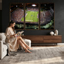 Florida Atlantic University Owls Football Team Print - Boca