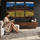 University of Illinois Fighting Illini Football Team Print -