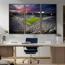 Penn State Nittany Lions Football Team Print - University