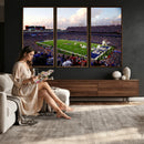 Buffalo Bills Football Team Print - Buffalo Highmark Stadium