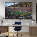 University of California Golden Bears Football Team Print - by MyGreatCanvas | Canvas Wall Art Prints | Photo Prints & Wall Decor