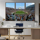 Michigan State Spartans Football Team Art Print - East