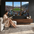 Michigan State Spartans Football Team Art Print - East