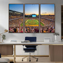 University of Minnesota Golden Gophers Football Team Print - by MyGreatCanvas | Canvas Wall Art Prints | Photo Prints & Wall Decor