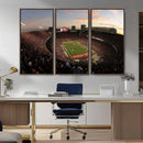 Ohio State University Buckeyes Football Team Print -